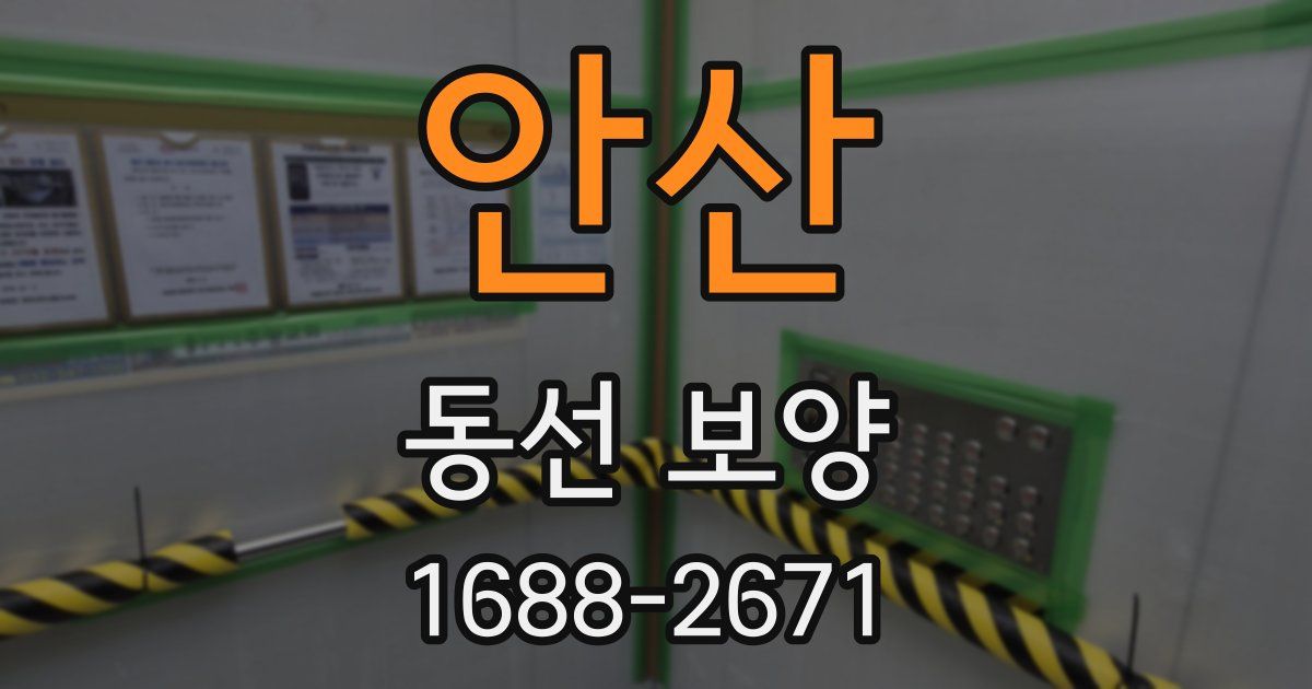 안산 동선 보양
