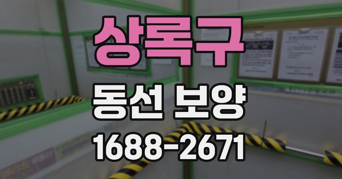 상록구 동선 보양