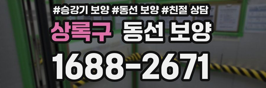 상록구 동선 보양