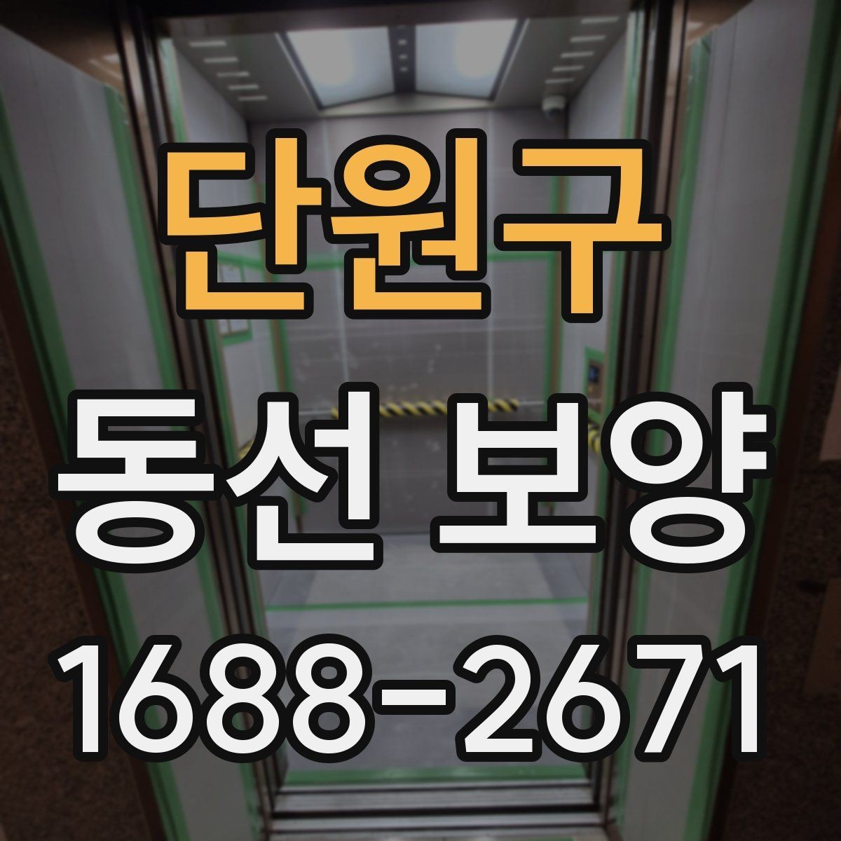 단원구 동선 보양 시 주의해야 할 안전과 동선 관리