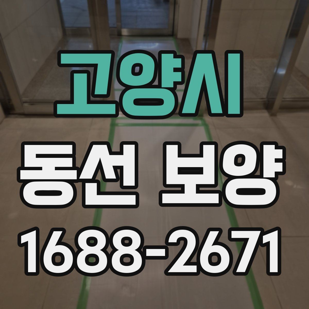 고양시 동선 보양 작업 후 유지 관리 팁