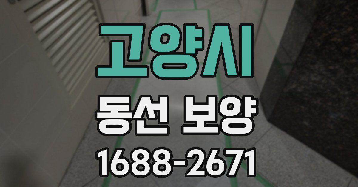고양시 동선 보양