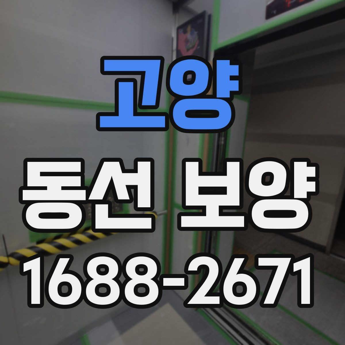 고양 동선 보양 작업 후 점검 순서와 확인 사항