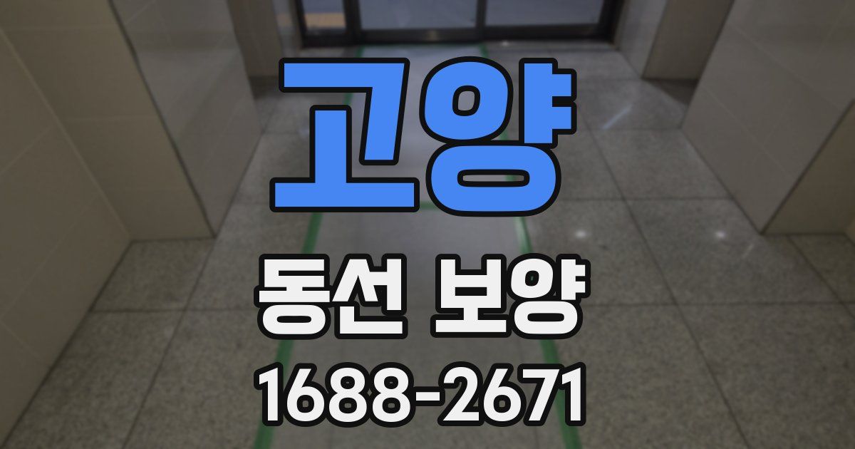 고양 동선 보양