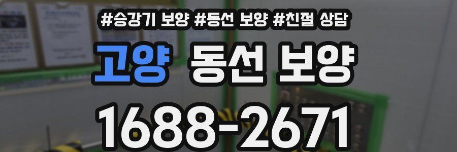고양 동선 보양