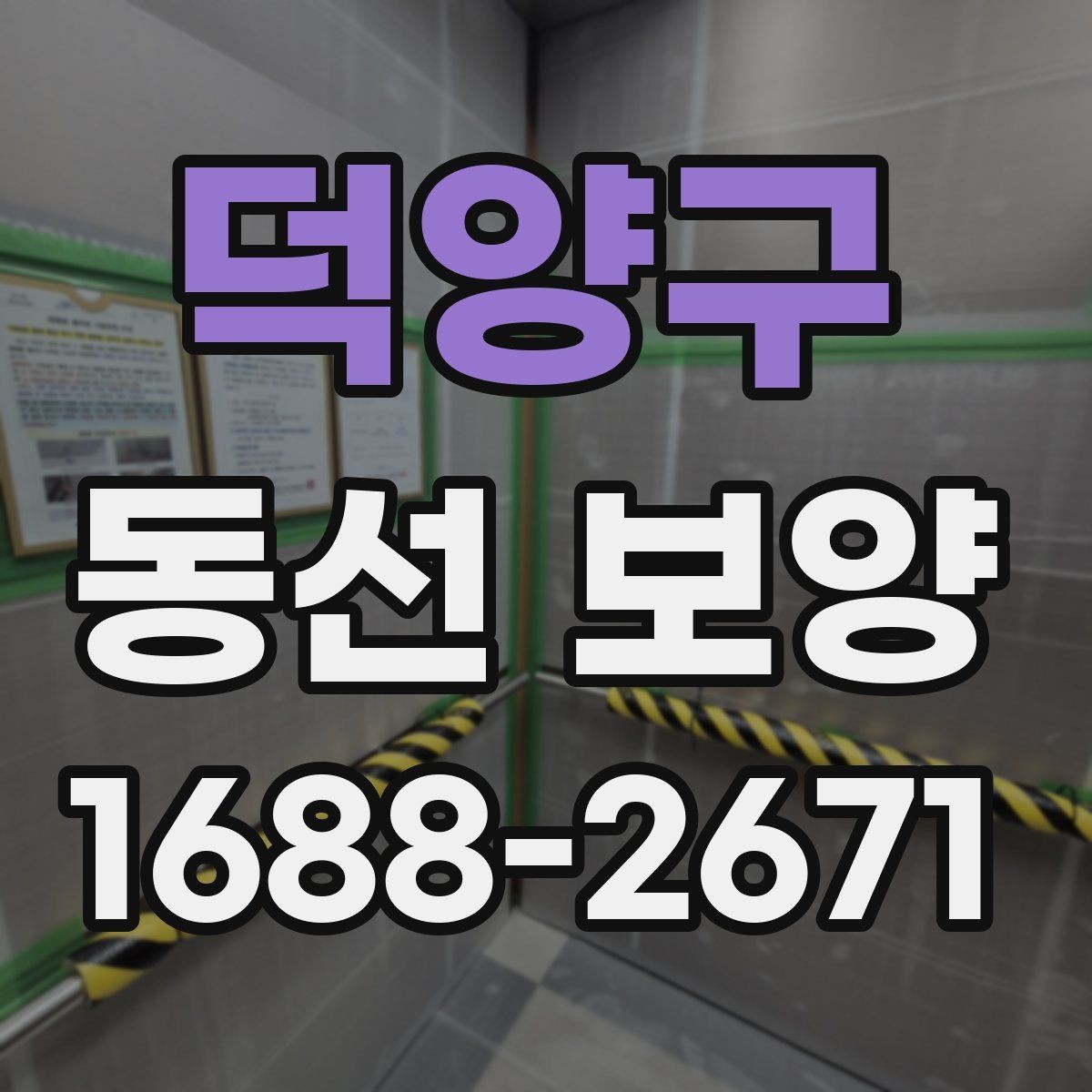 덕양구 동선 보양 작업 범위와 현장 조건을 함께 보는 이유