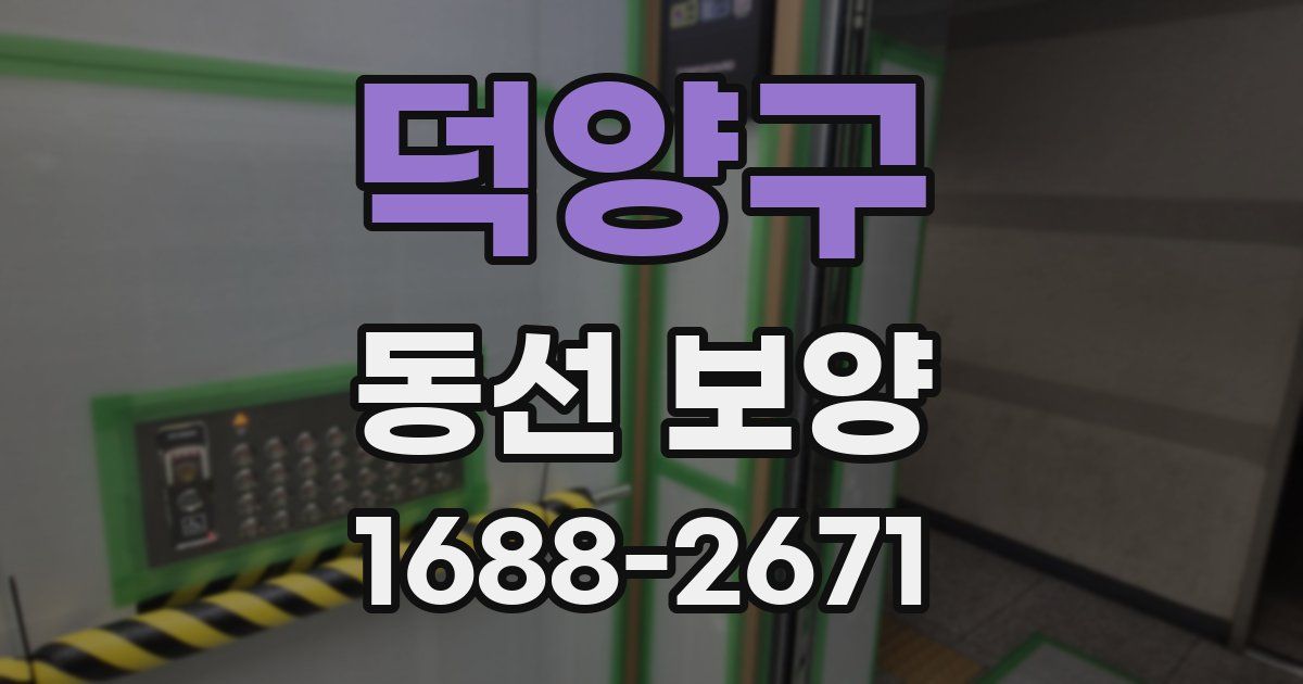 덕양구 동선 보양