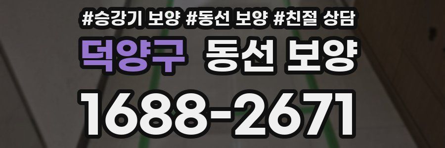 덕양구 동선 보양