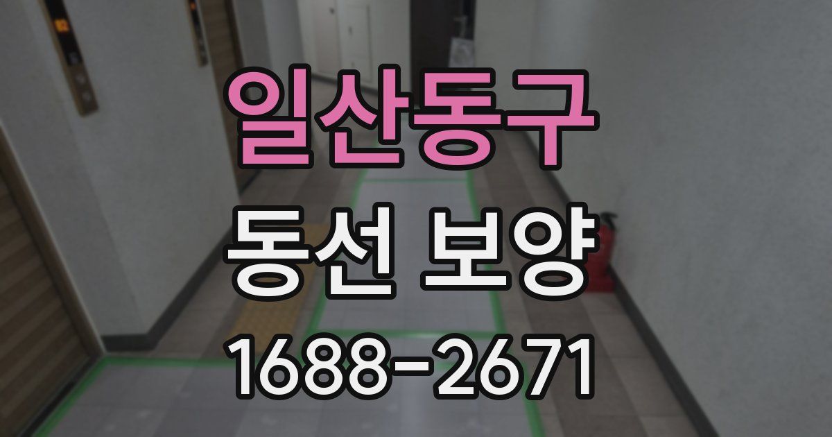 일산동구 동선 보양