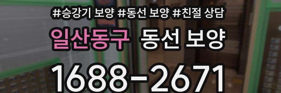 일산동구 동선 보양