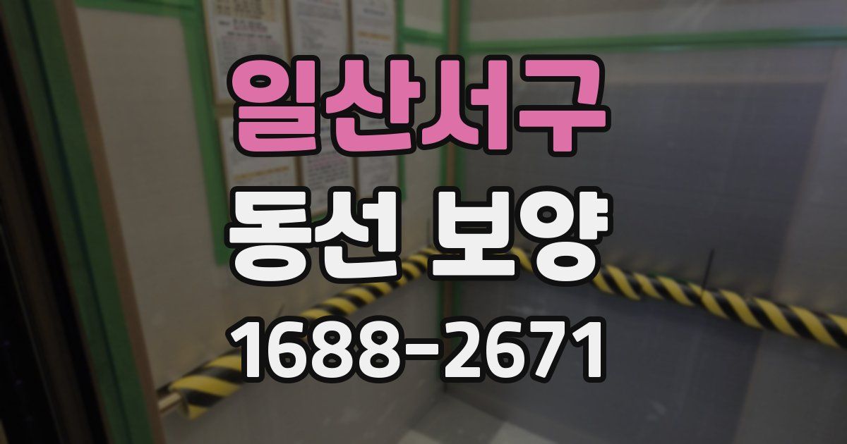 일산서구 동선 보양