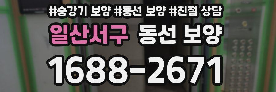 일산서구 동선 보양