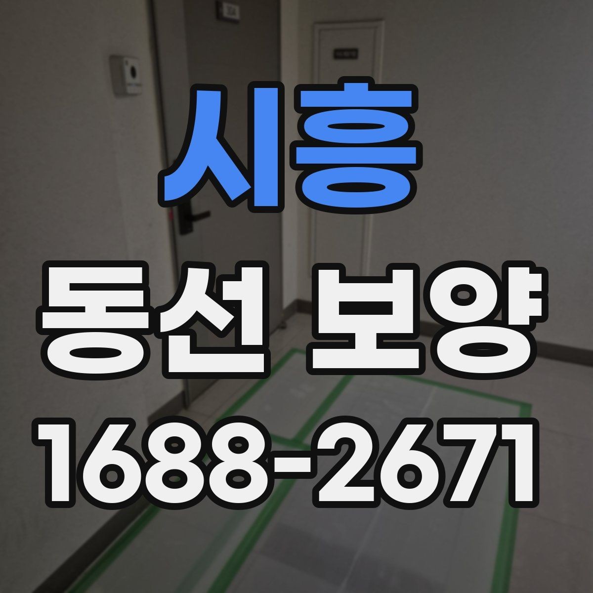 시흥 동선 보양 자재별 특징과 활용 방법
