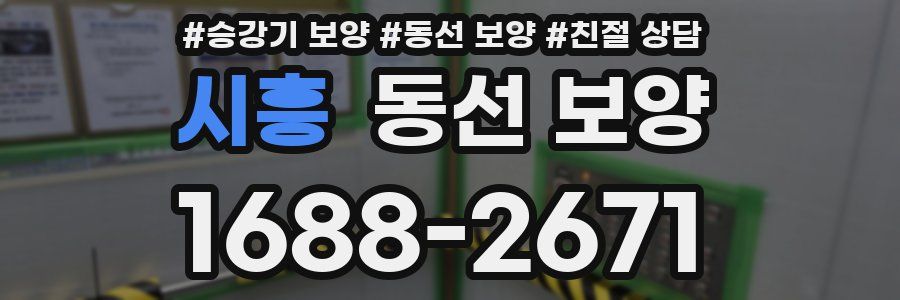 시흥 동선 보양