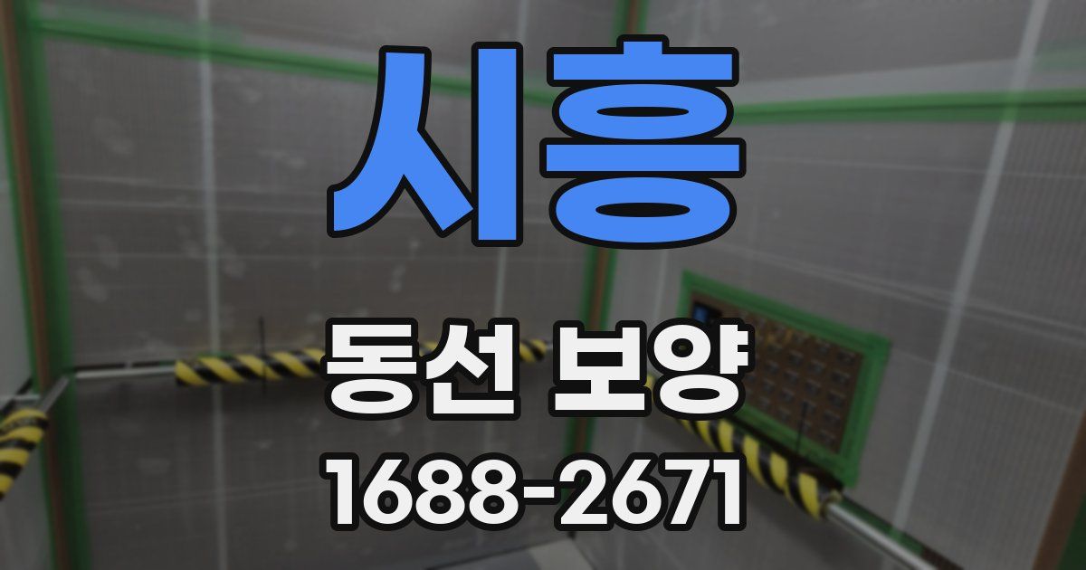 시흥 동선 보양
