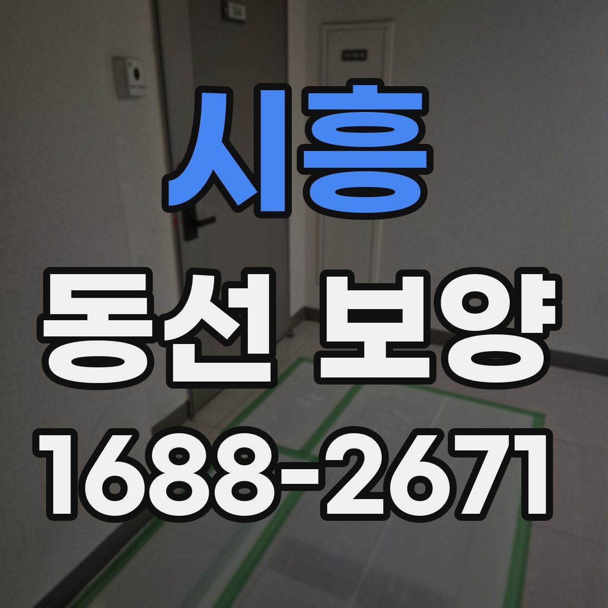 시흥 동선 보양