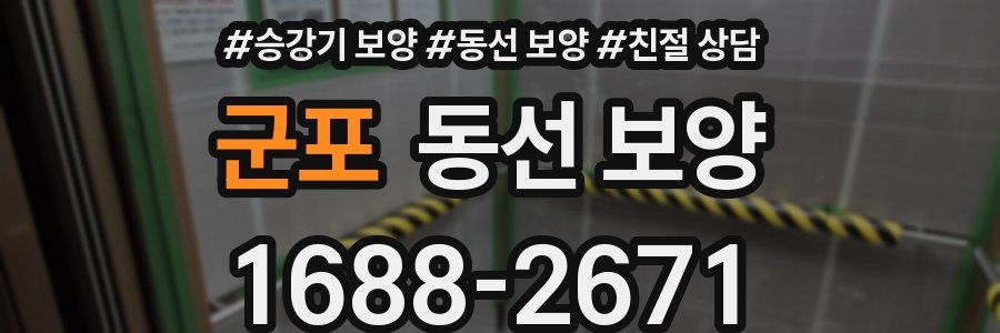 군포 동선 보양