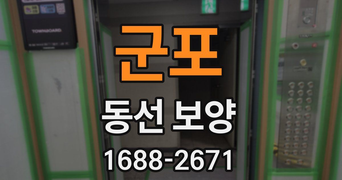 군포 동선 보양