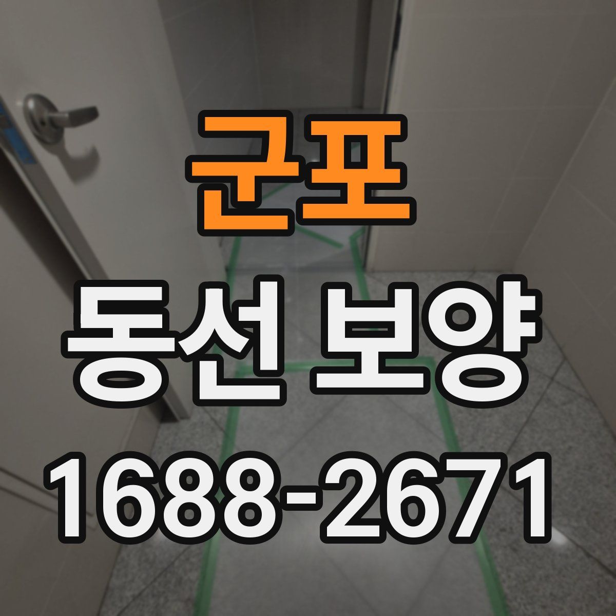 군포 동선 보양