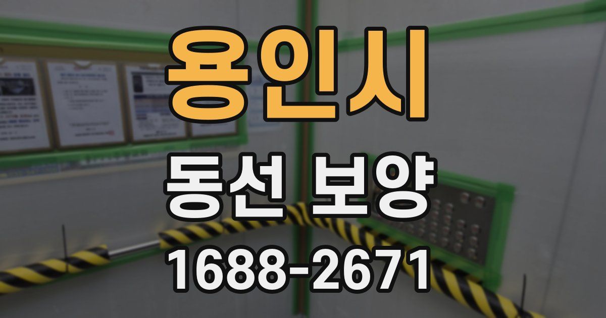 용인시 동선 보양