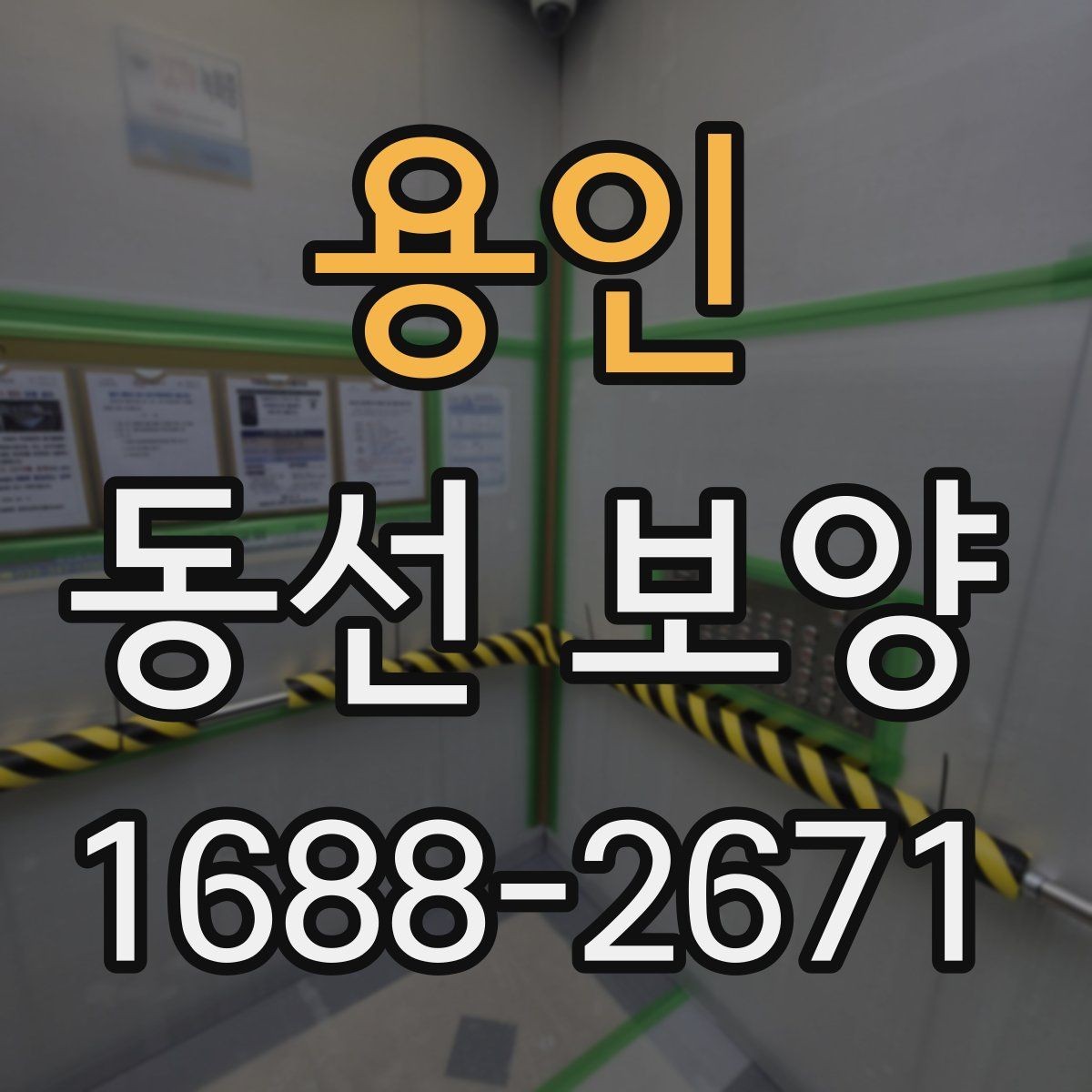 용인 동선 보양 자재 선택 방법과 활용법