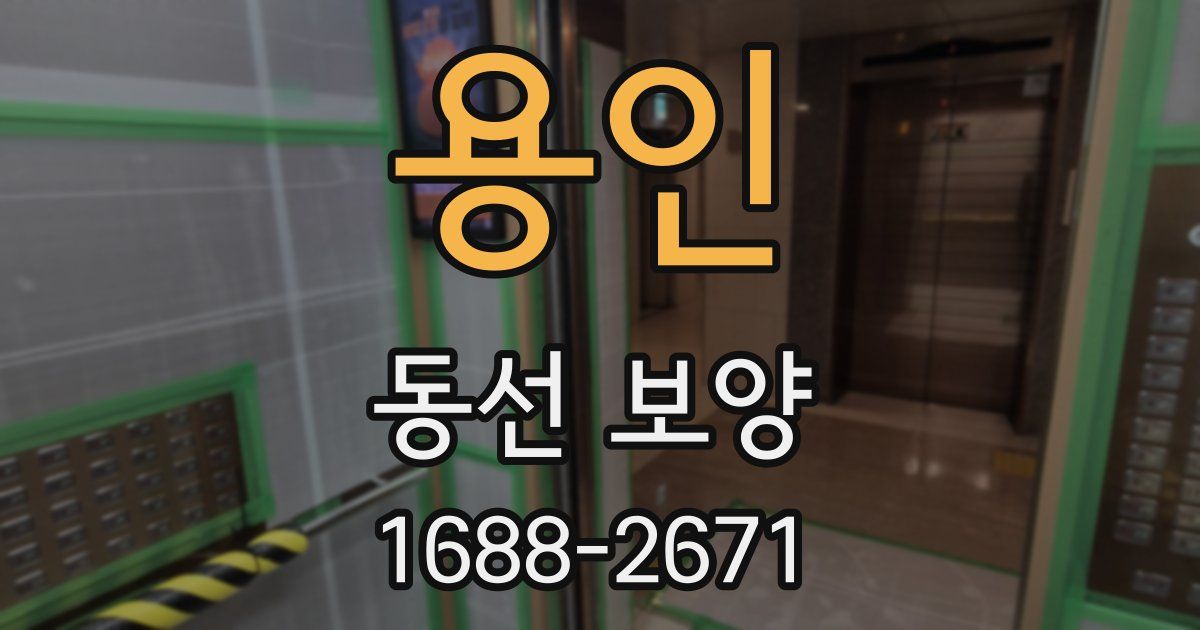 용인 동선 보양
