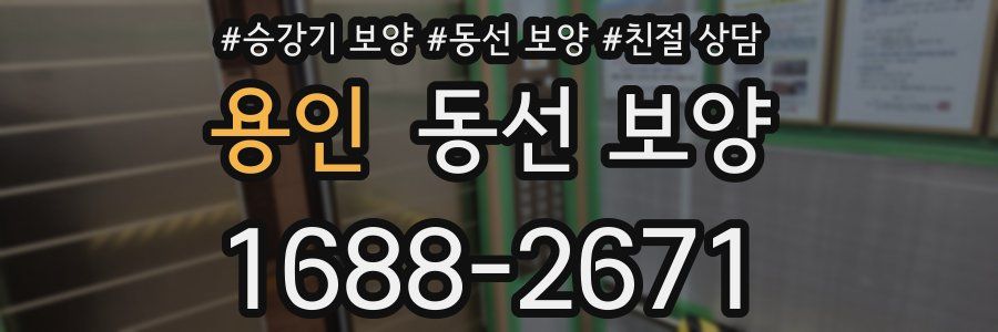 용인 동선 보양