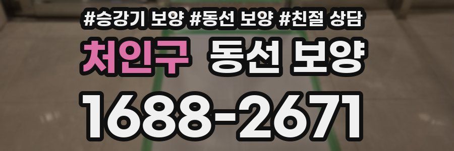 처인구 동선 보양