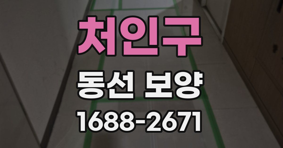 처인구 동선 보양