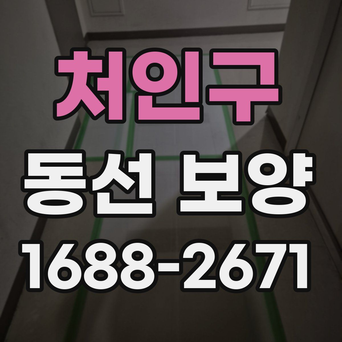 처인구 동선 보양
