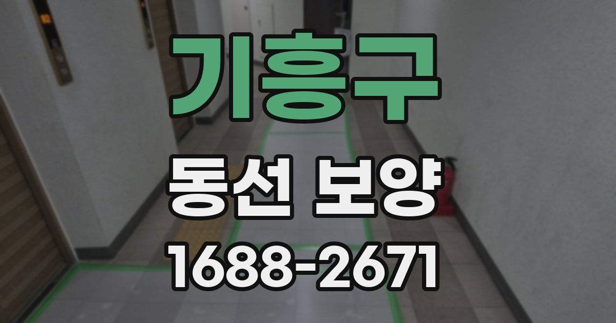 기흥구 동선 보양