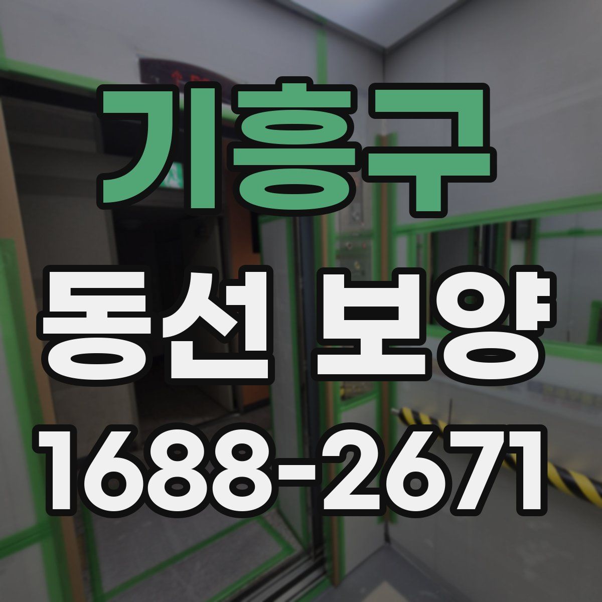기흥구 동선 보양
