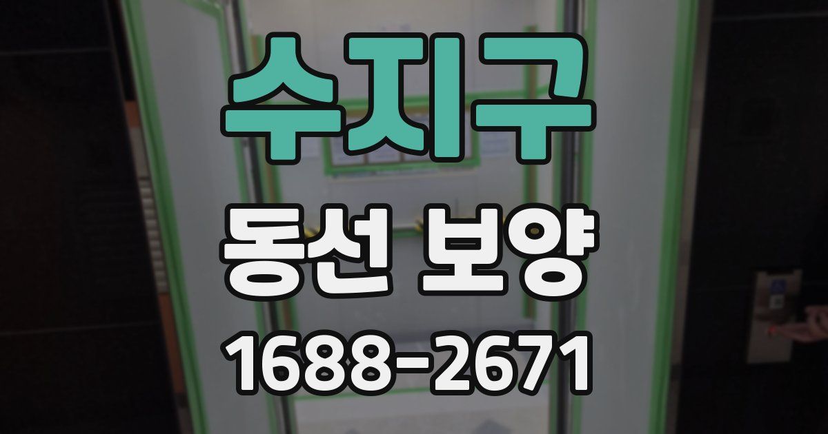 수지구 동선 보양