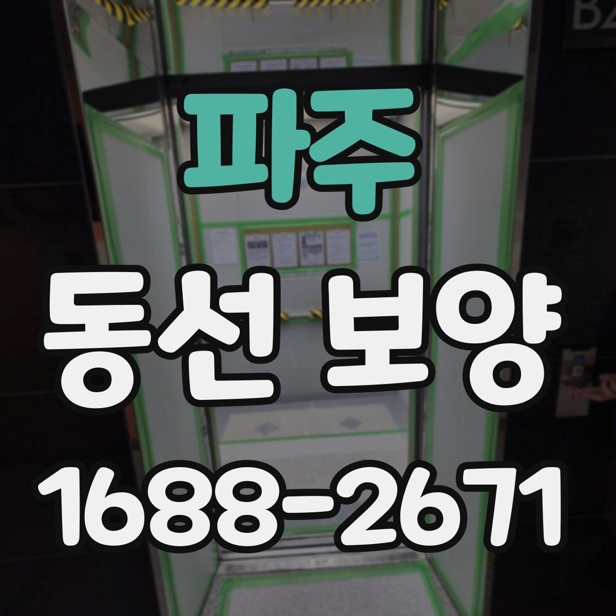 파주 동선 보양 비용을 줄이기 위한 선택 기준