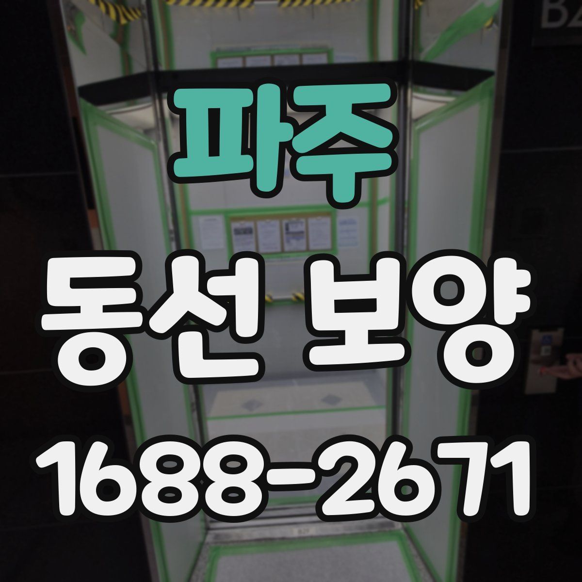 파주 동선 보양