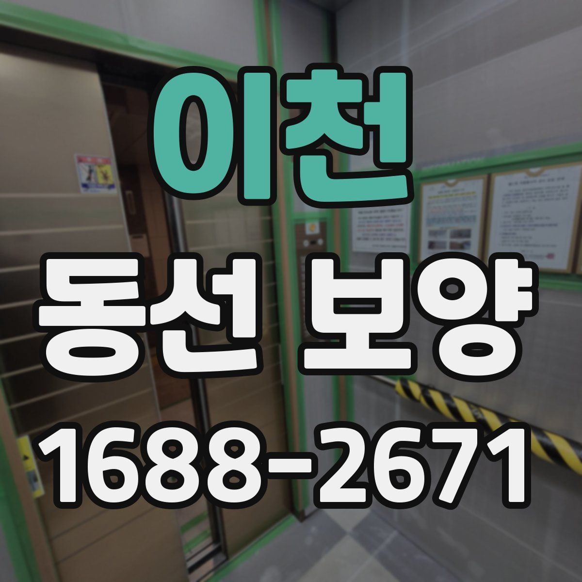 이천 동선 보양