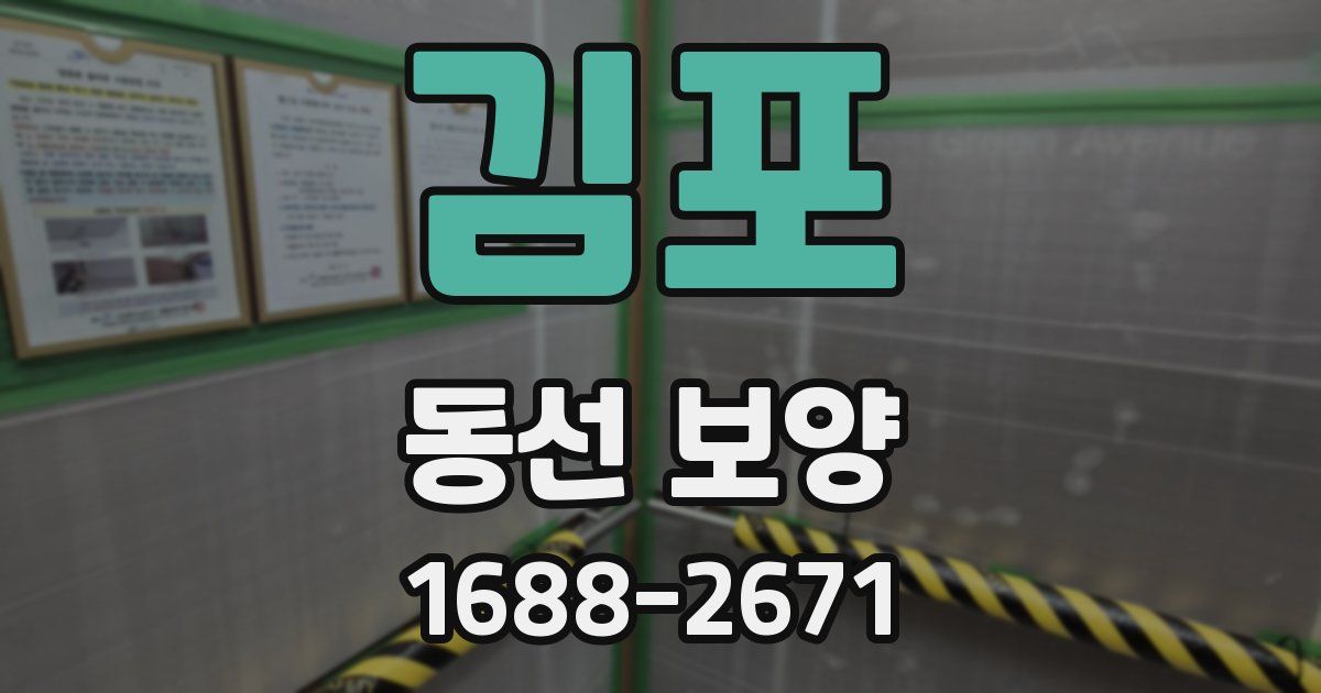 김포 동선 보양
