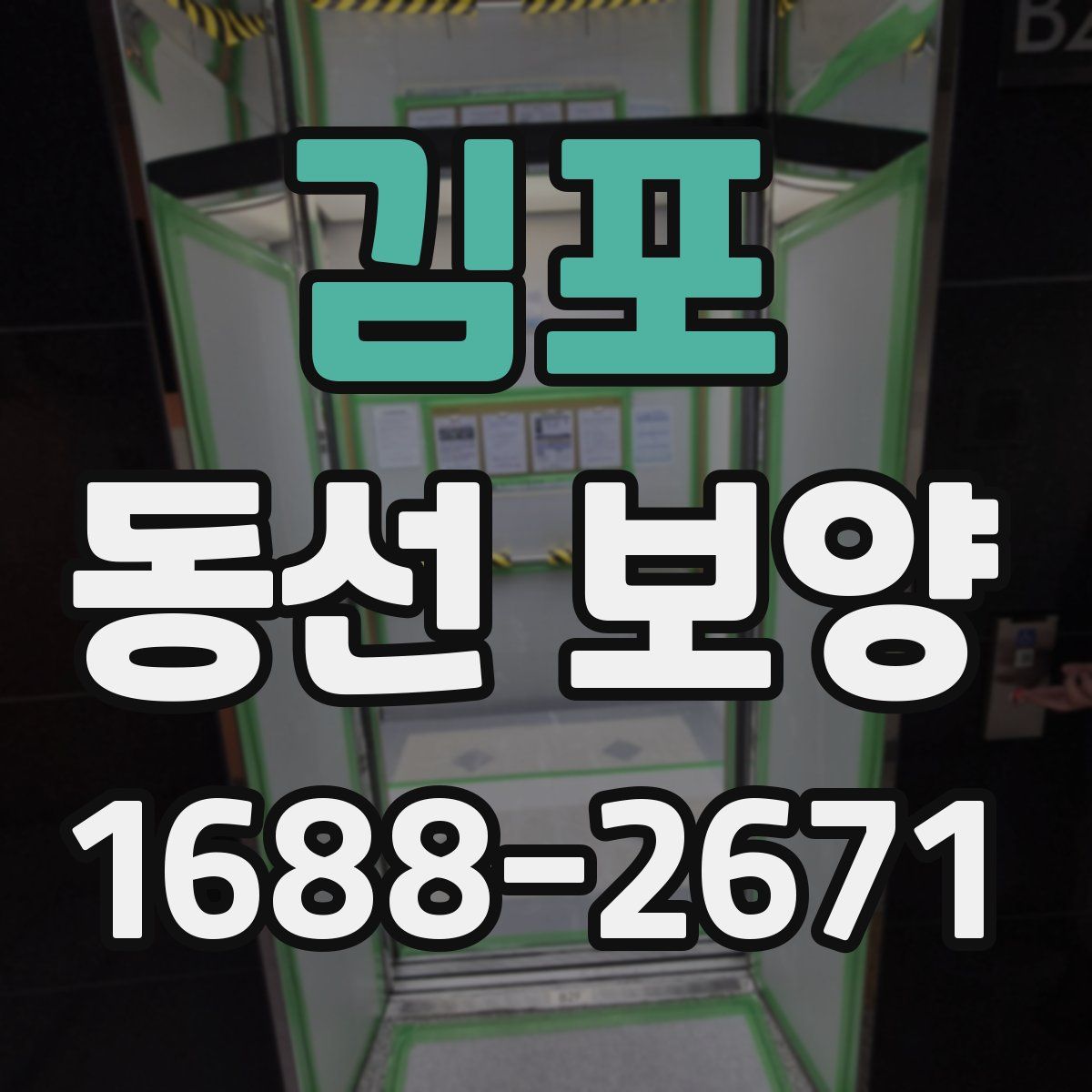 김포 동선 보양