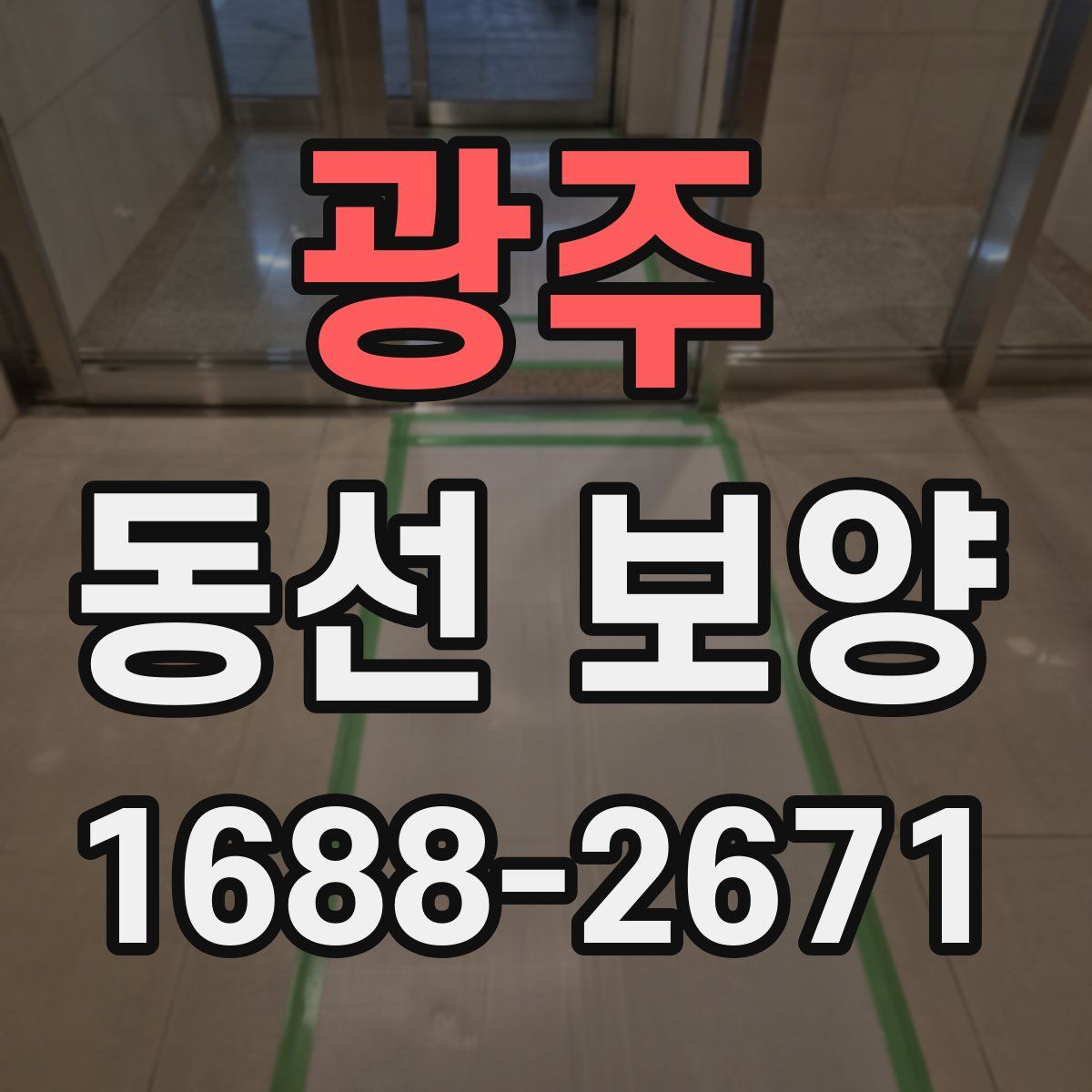 광주 동선 보양