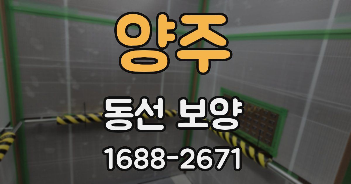 양주 동선 보양