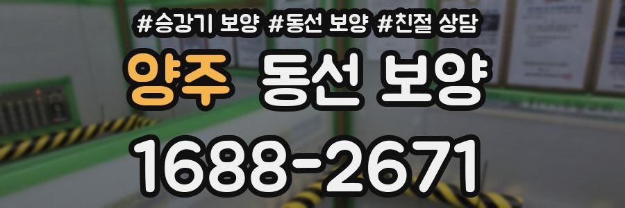 양주 동선 보양
