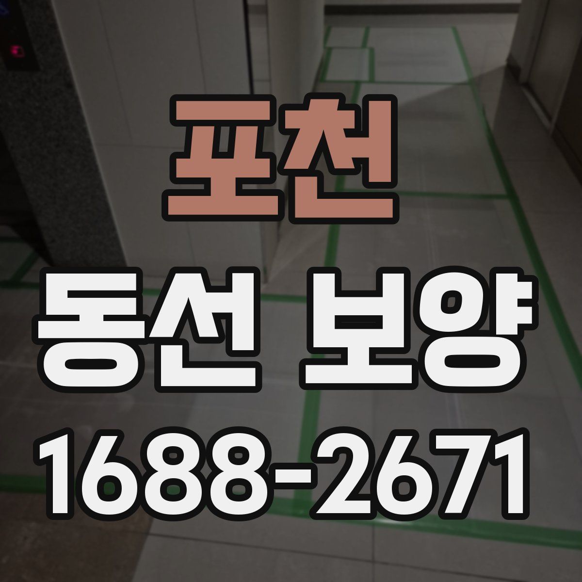 포천 동선 보양