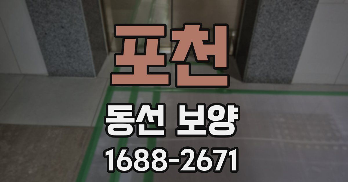 포천 동선 보양