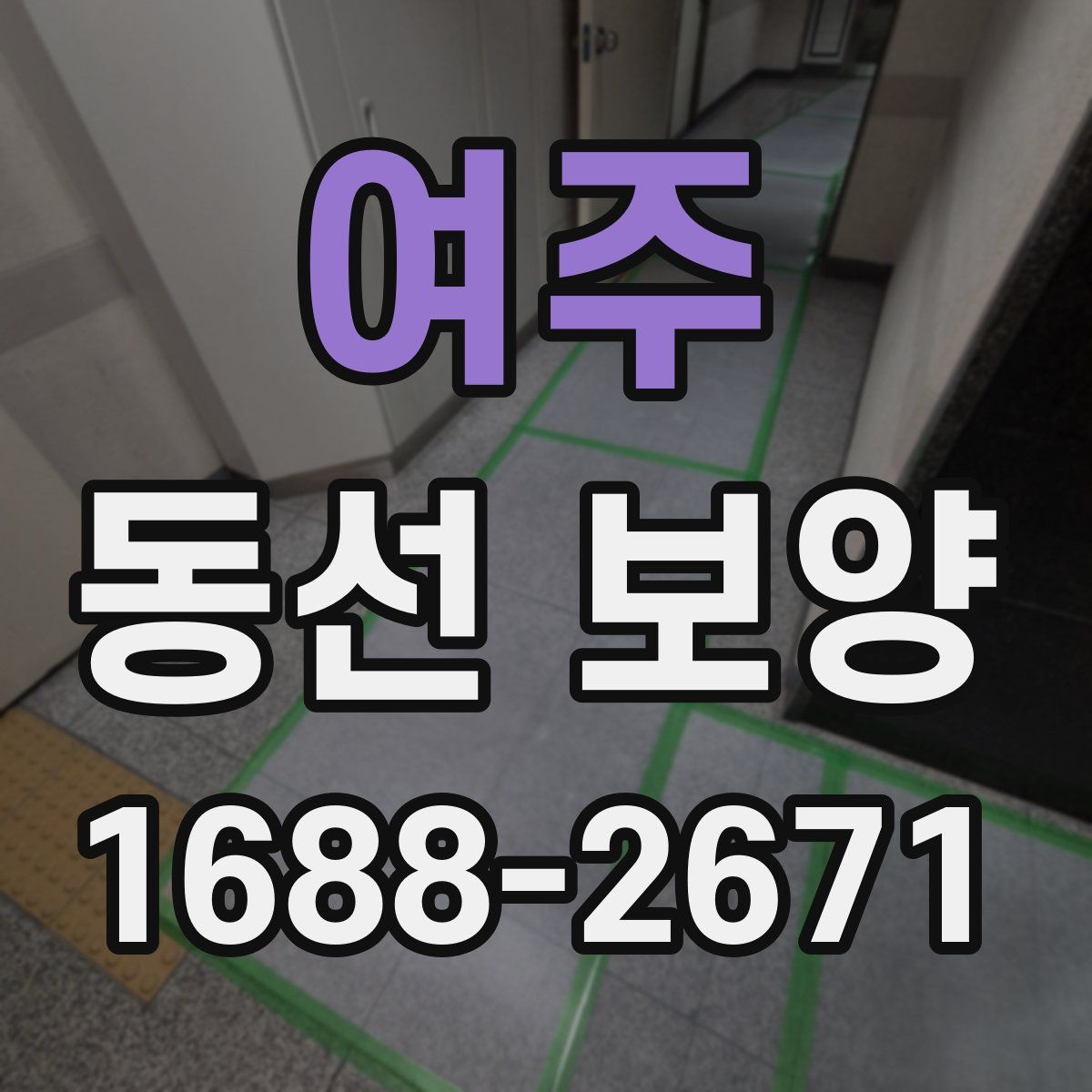 여주 동선 보양