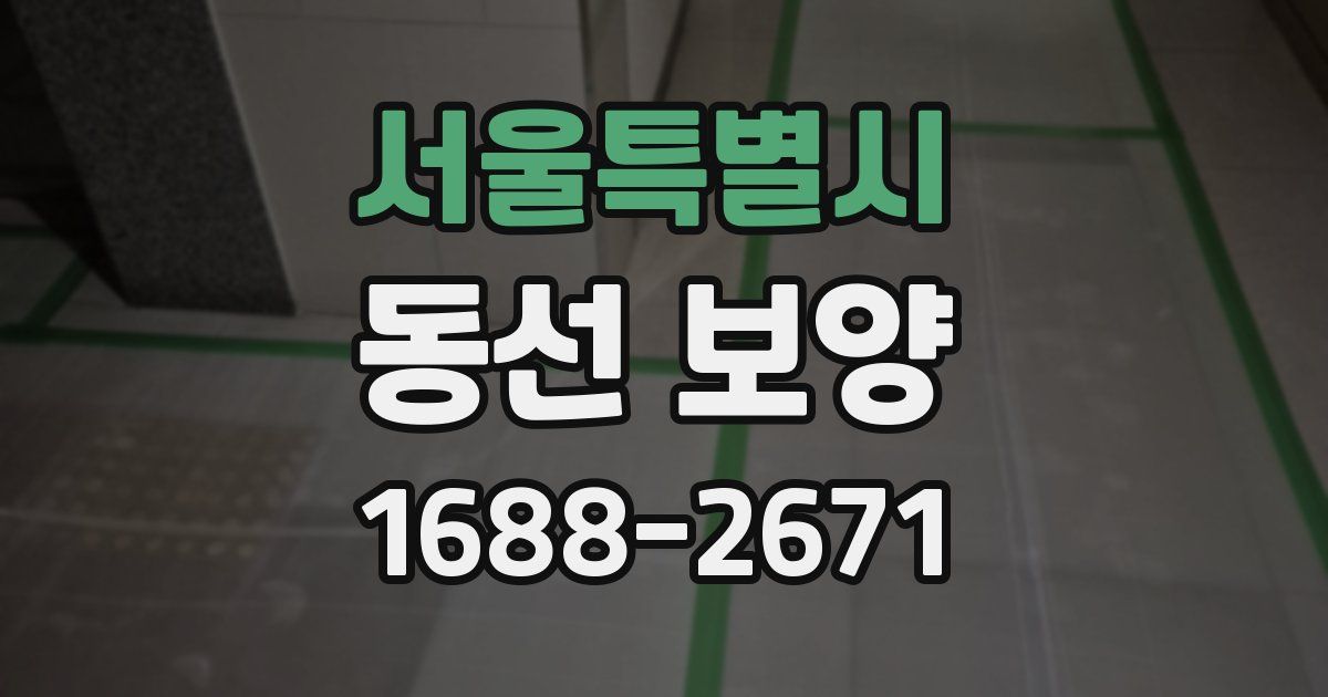 서울특별시 동선 보양