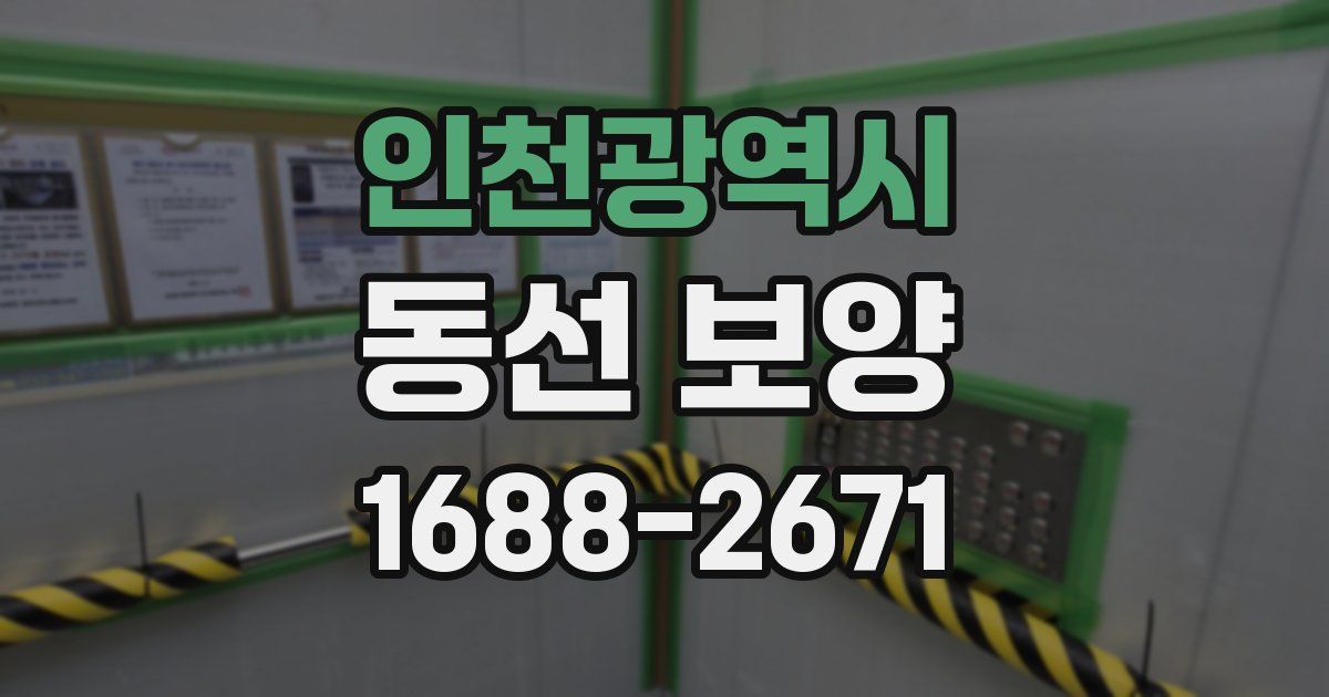 인천광역시 동선 보양