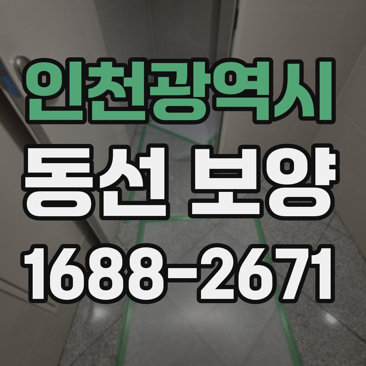 인천광역시 동선 보양