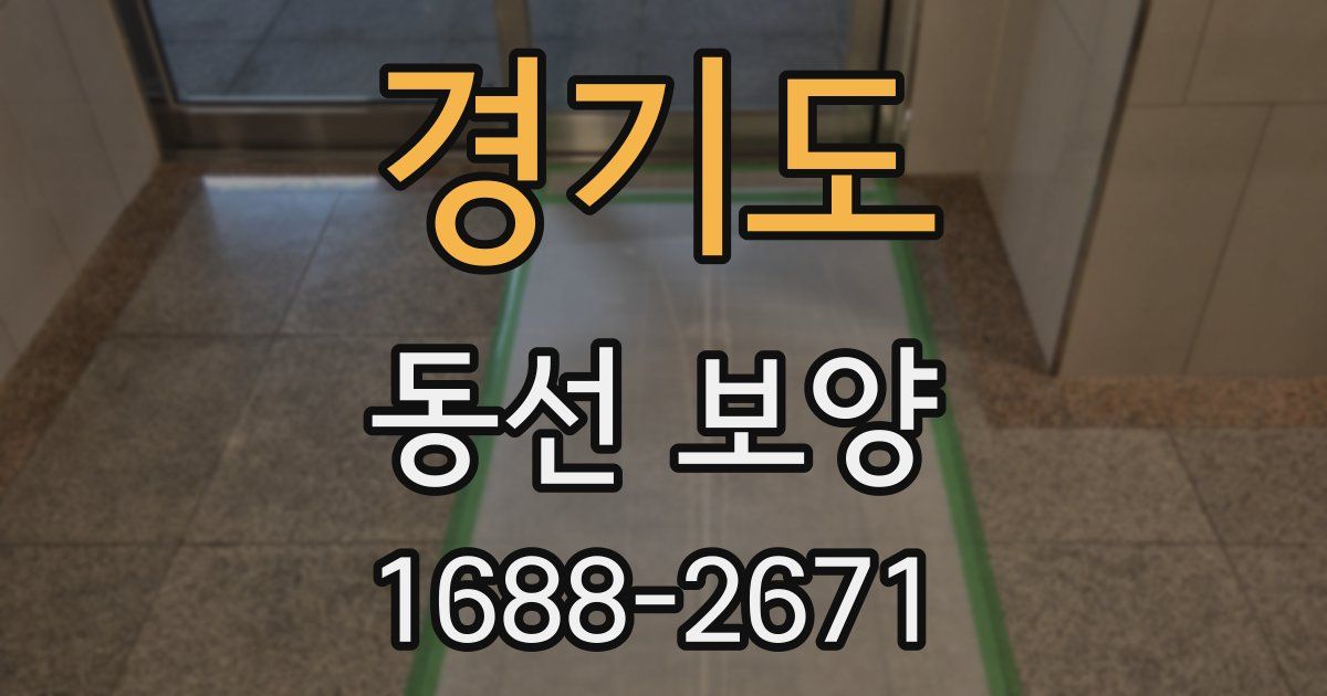 경기도 동선 보양