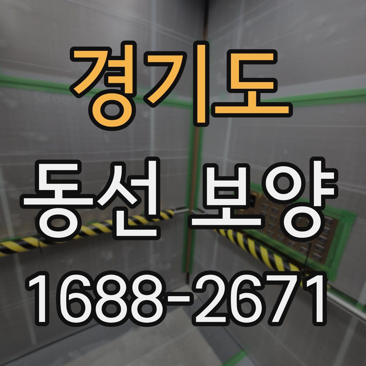 경기도 동선 보양