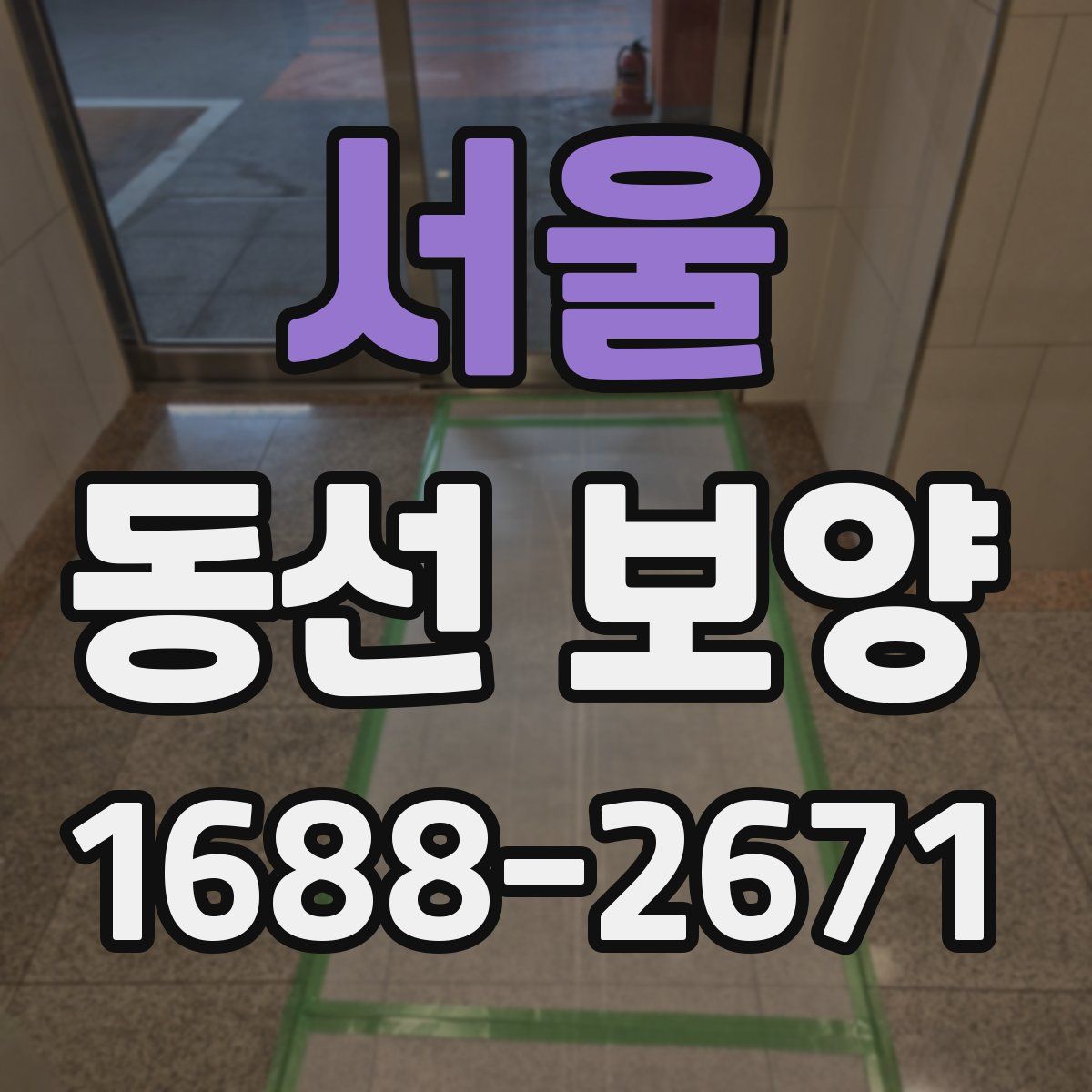서울 동선 보양